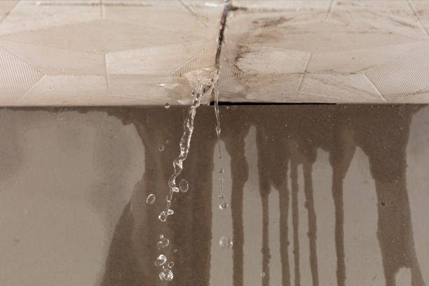 Professional Structural Drying technician working in Rome, NY